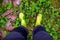 A person in boots stands in a forest on a moss.