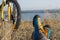 Person in bright sporty Shoes resting on Grass along Bicycle