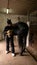 Person brushing horse\'s tail in stable