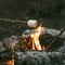 person burning marshmallows camp fire 2. High quality beautiful photo concept