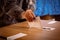 Person casting a ballot at a polling station, during elections