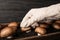 Person checking quality of champignons. Mushrooms cultivation