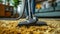 Person Cleaning Plush Carpet with Modern Vacuum Cleaner.