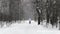 Person cross skiing in forest in winter snowy day