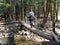 Person Crossing Log Footbridge in Forest