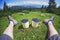 Person with cups blueberries while looking on background of sunny mountains grass forest and hills