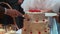 A person cutting a celebration cake. Bride and groom at wedding reception venue.