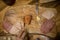 Person cutting tartar beef or tatar meat. Traditional dish being served on a table at a feast. Popular appetizer