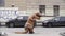 Person in dinosaur costume walking in front of parked cars