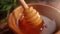 A person is dipping wooden spoon in honey. Golden fresh honey is pouring from stick. Organic beekeeping. Concept of