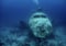 Person diving in the deep ocean near a sunken plane