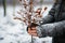Person embracing a snow-covered tree - stock photography concepts