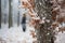 Person embracing a snow-covered tree - stock photography concepts