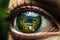 Person eyesight vision iris macro eyeball pupil closeup human eye