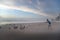 Person feeding the pigeons on the beach in New Orleans