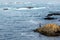 Person fishing off rocks in the ocean