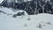 A person is freeriding on the snowboard down the hill, stunning mountain on the background