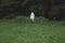 Person fully covered in a white cloth like a ghost standing in a green valley against leafy trees