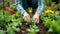 A person gardening, finding solace and joy in nurturing their plants