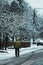 Person in Green Jacket walking down Snowy Rural Neighborhood Street in Philomath Oregon