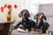 Person had just got up from chair, leaving glasses and the newspaper, when two funny cheeky dachshund dogs immediately