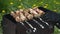 Person hand turns over barbecue meat on skewers put on grill