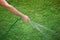 Person hand watering grass