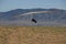 Person hang gliding above the field on the mountainous landscape