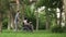 A person helping to a disabled man. Man is taking care of disabled and helping him to relax in the park in his