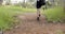 A person hikes on a dirt trail surrounded by green grass with copy space