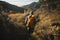 person, hiking through nature with backpack in view