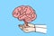 Person hold brain in hands