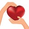 Person hold red heart in hand vector