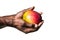 Person Holding Apple in Hand