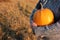 A person holding big orange pumpkin on hay field background. Female hands in gray sweater with huge pumpking.