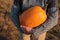 A person holding big orange pumpkin on hay field background. Female hands in gray sweater with huge pumpking.