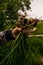 Person holding a bunch of newly harvested onion bulbs and leeks at a garden