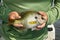 Person holding fresh bluegill