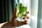 a person holding a glass of water infused with cucumber and mint