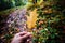 Person holding leaf