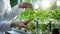 A person holding a plant in a glass jar. Generative AI image. Plant research facility, biological research lab.