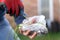 Person holding a plastic bag with cuttings for planting