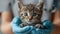 Person holding a small Felidae with electric blue fur, whiskers, and snout