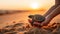 A person holding a small turtle on a beach