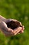 Person holding soil in hands