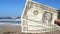 Person holding three paper dollar bills on background of sea and sea waves