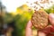 Person holding a wholemeal biscuit with falling oat flakes and green background and defocused trees. Concept for healthy eating.