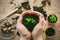 A person holds in his hands a loose soil from which grows a small green growth of a plant that needs to be transplanted into a pot