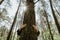 Person hugging a tree in forest, embracing tree trunk with both hands