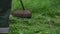 Person in jumpsuit cuts high green grass with lawn mower